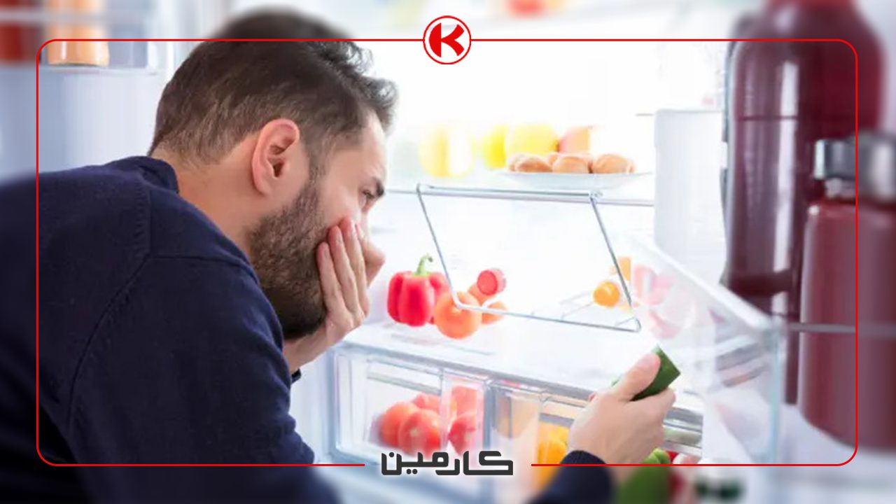 بوگیر یخچال از کجا بخرم؟ معرفی بهترین بوگیر یخچال